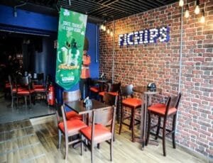 fichips