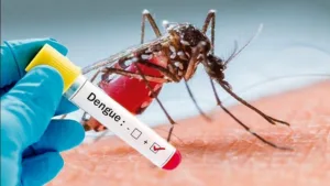 dengue